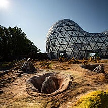 ursuppe-7-photodesign-amador