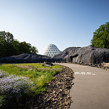 ursuppe-4-photodesign-amador
