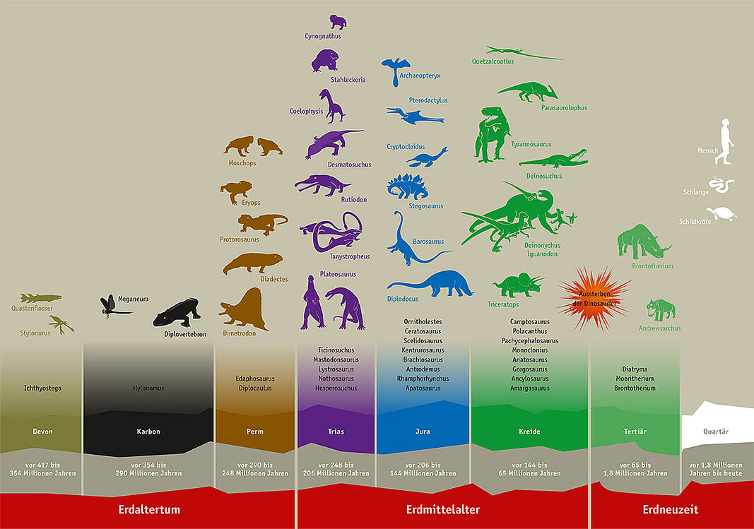 Zeitstrahl: vom Erdaltertum bis zur Erdneuzeit