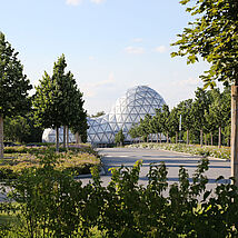 ursuppe-2-photodesign-amador