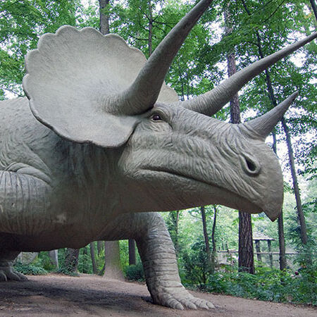 Triceratops