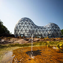 ursuppe-9-photodesign-amador