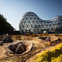 ursuppe-8-photodesign-amador
