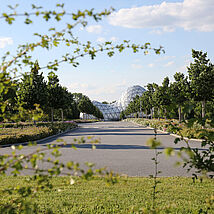ursuppe-3-photodesign-amador