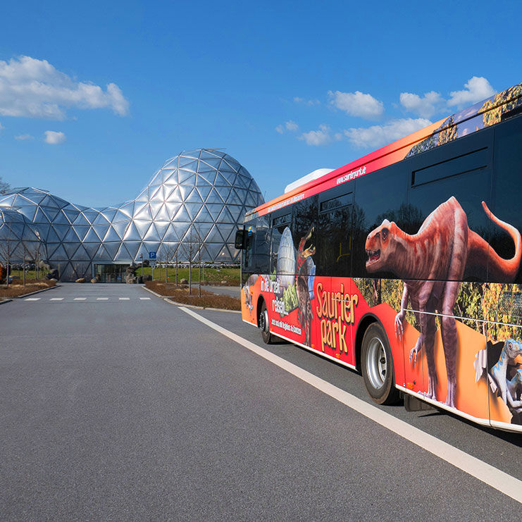 Linienbus vor dem Saurierpark