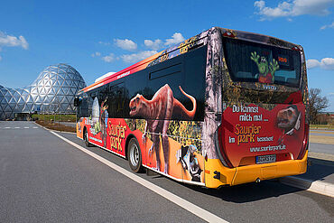 Bus vorm Saurierpark