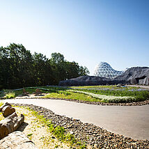 ursuppe-5-photodesign-amador
