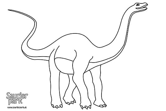 Malvorlage Diplodocus
