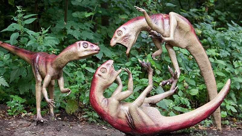 Heterodontosaurus Heterodontosaurus