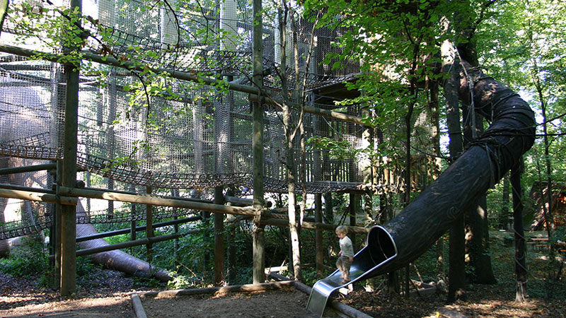 Kletterurwald